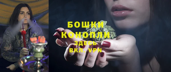 трава Аркадак