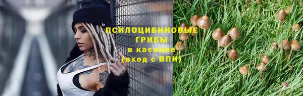 мескалин Арсеньев